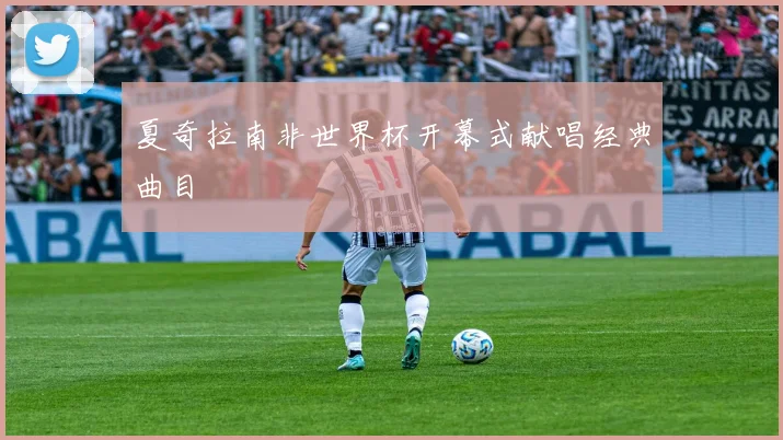 夏奇拉南非世界杯开幕式献唱经典曲目